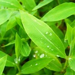 青少年篮球训练的影响因素及对策研究_1